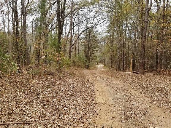 3rd image of 25847 County Road 462