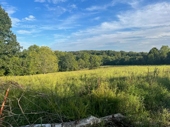 000 Tract #2 & Tract #3, Billings, MO 65610