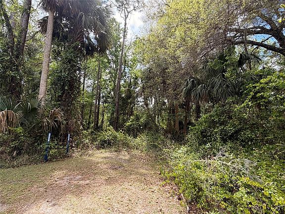 3rd image of County Road 445a #30