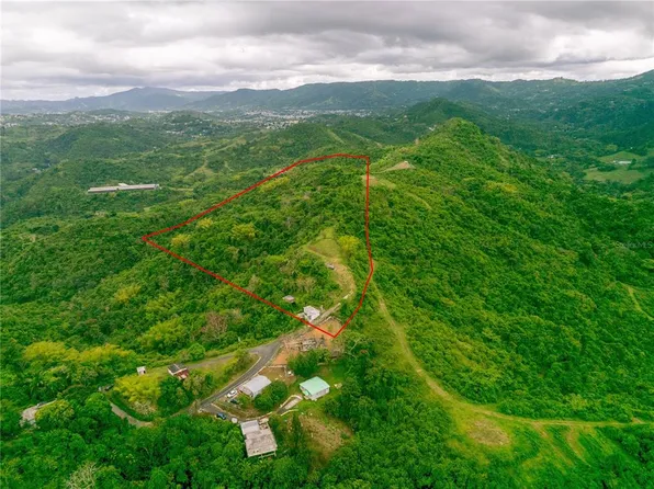 Interior Bo Maton Abajo Maton Abajo, Cayey, PR 00736