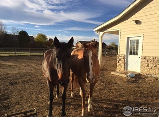 4364 Haystack Dr, Windsor, CO 80550