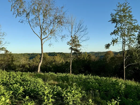 0 Old Highway 31 E, Bethpage, TN 37022