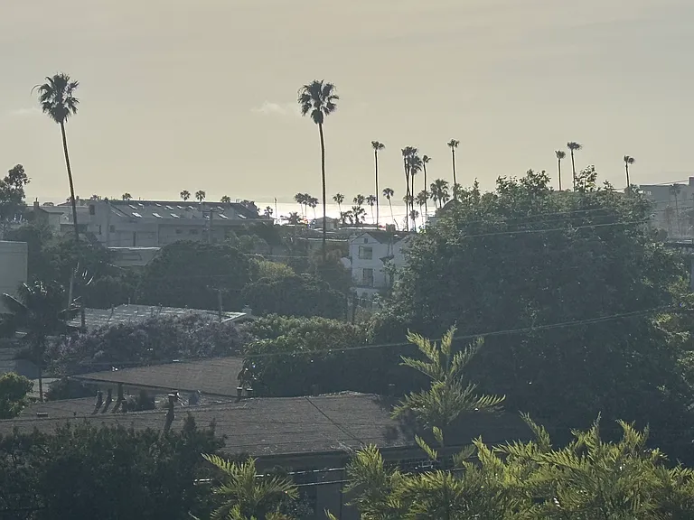 2428 Beverly Ave #A — Photo 50
