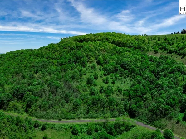 C610 High Mountain Nvno, Zionville, NC 28698