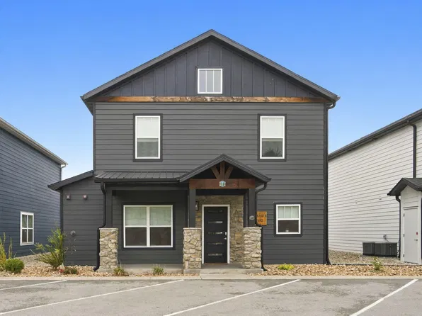111 Chateau Mountain Lane, Branson, MO 65616