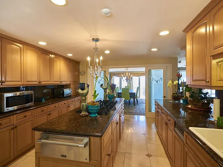 Gourmet kitchen