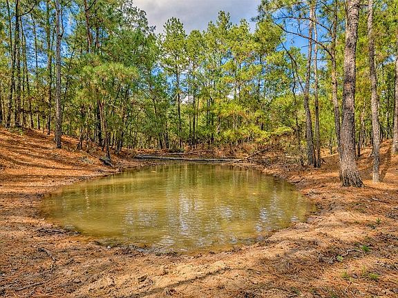 3rd image of 157 Oates Brothers Rd