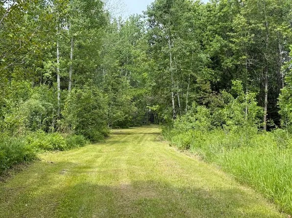 515th Avenue And 115th St, Menahga, MN 56464