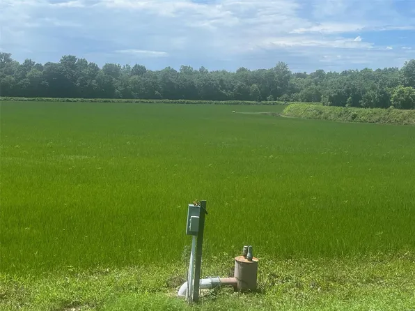 947 County Road 249, Qulin, MO 63961