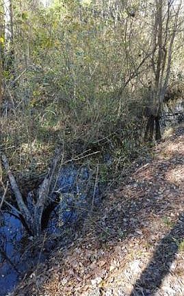 5th image of 1107 Green Pasture Lane