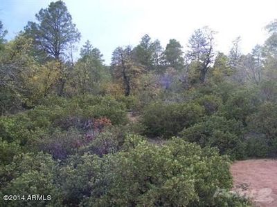 1208 N Marissa Cir, Payson, AZ, 85541