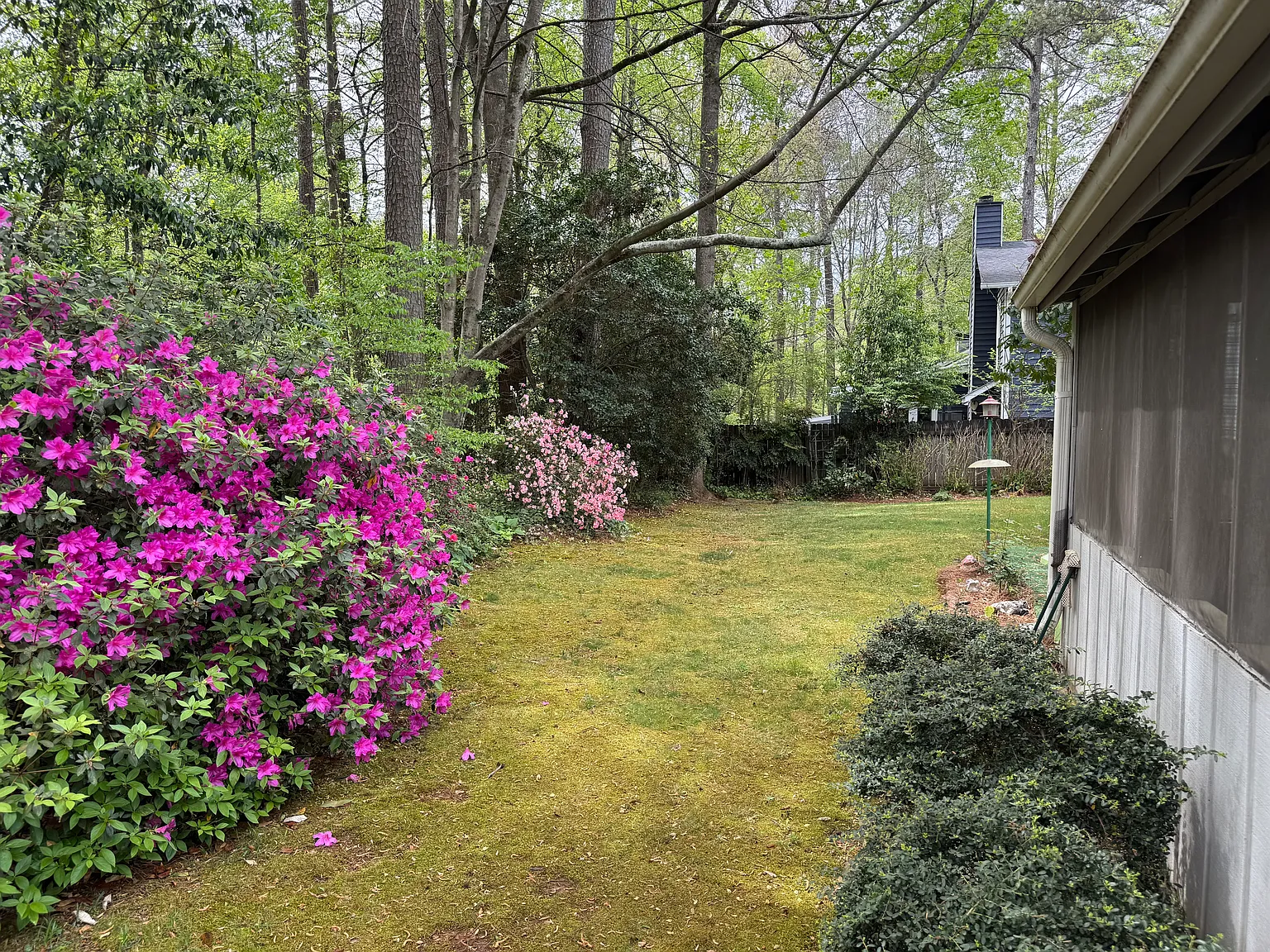 3 bed, 1540 sqft, $2,600 — Photo 4