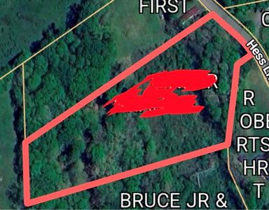 Hess Lively Rd, Mount hope, WV, 25880