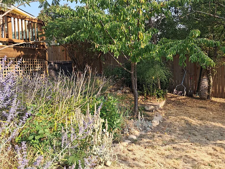 815 Oak St #STUDIO — Photo 10