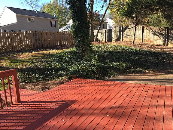 3rd image of 220 Scotch Pine Ct