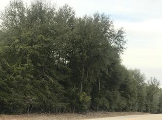 0 Thunder Rd, Olar, SC 29843