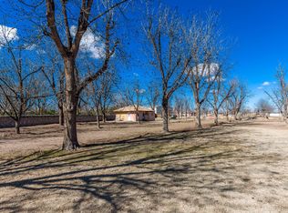 8925 Pecanderosa Ct, Mesilla Park, NM 88047