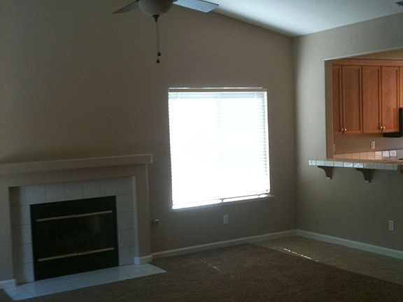 Newer Carpet & Tile