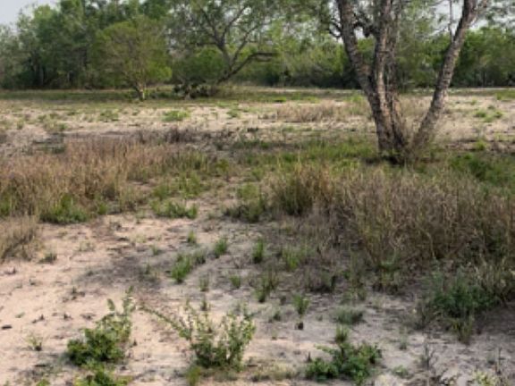 3rd image of 271 FM 1358 LOT 1