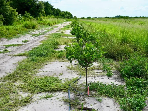 900 Arbuckle Creek Rd, Lorida, FL 33857