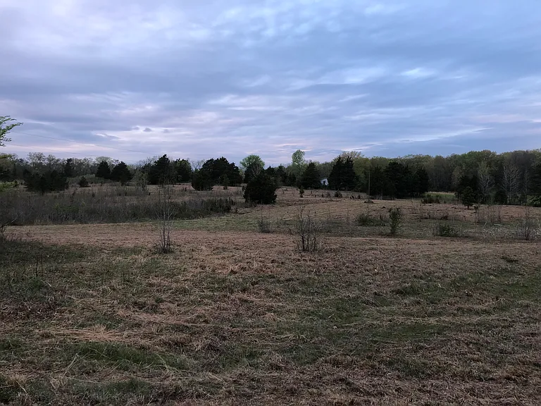 940 County Road 534 — Photo 7