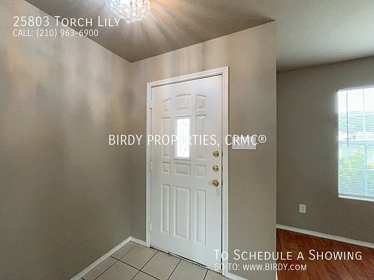 25803 Torch Lily — Photo 41
