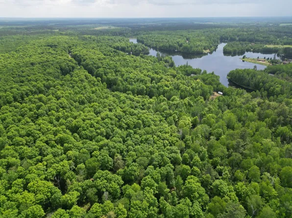 15676 Woodduck Dr, Park Falls, WI 54552