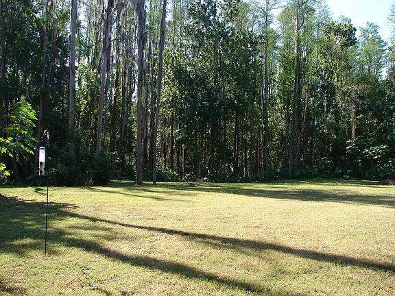 Back yard