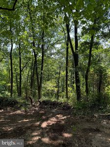 45 Hickory Hollow Rd, Berkeley Springs, WV, 25411