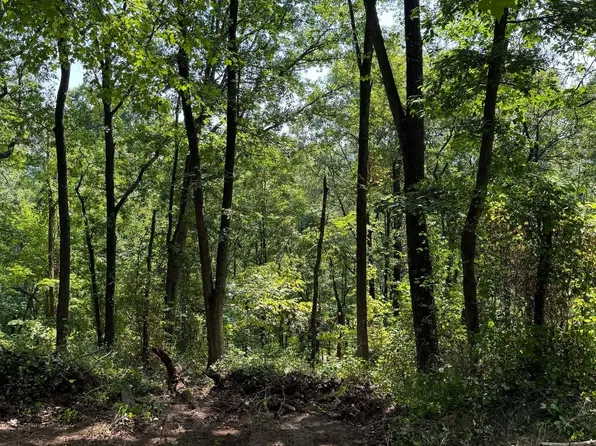 45 Hickory Hollow Rd, Berkeley Springs, WV 25411