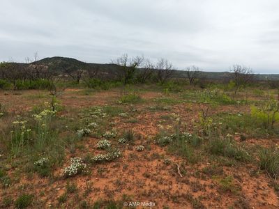 661 County Road 321, Abilene, TX, 79606