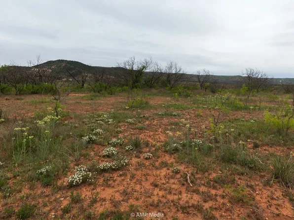 661 County Road 321, Abilene, TX 79606