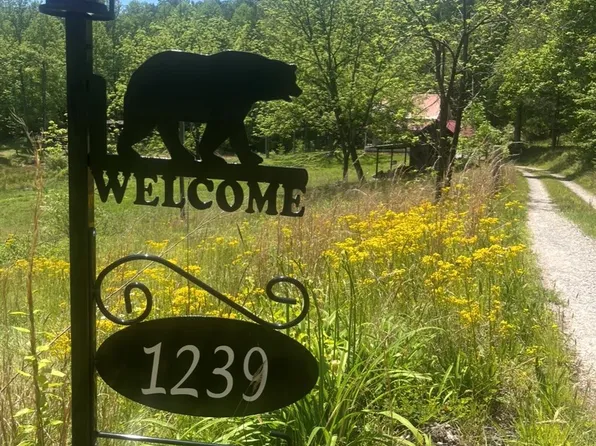 1239 W McGuinn Rd, Mill Spring, NC 28756