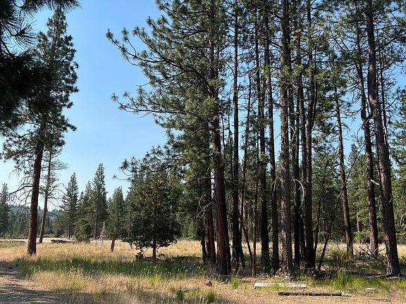 5th image of Sprague River Parcels 324688