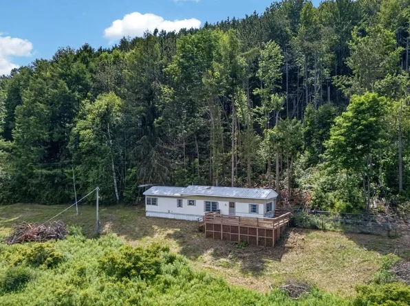 118 Lookout Dr, Charlotteville, NY 12036