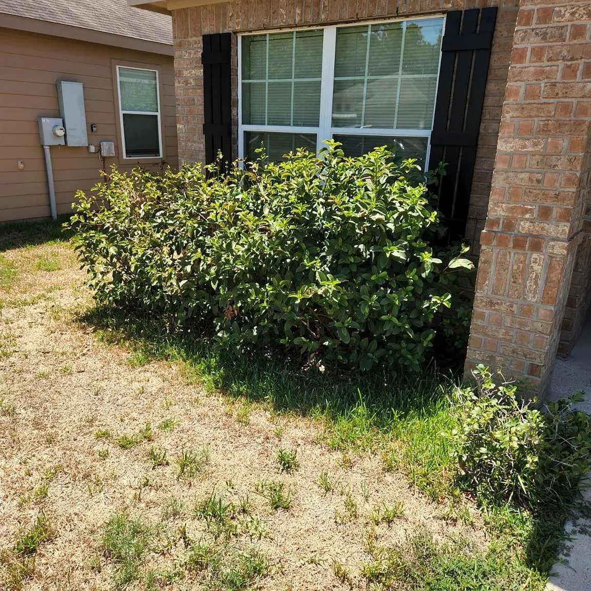 3 bed, 2.0 bath, 1368 sqft, $1,695 — Photo 2