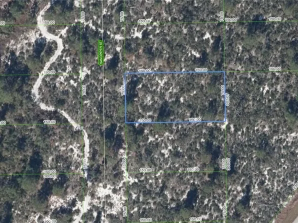 239 Sandpiper St, Lake Placid, FL 33852