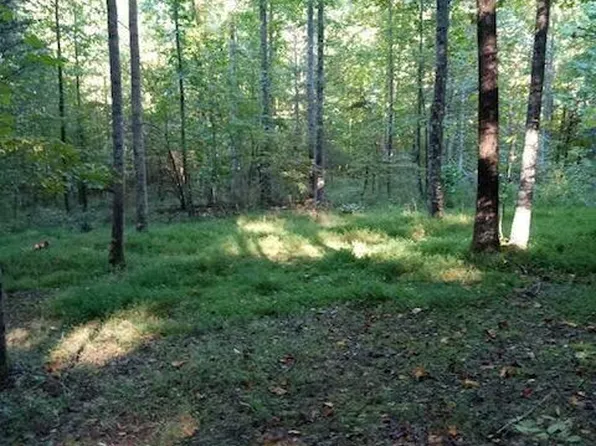 0 Vulcan Rd Tract 3, Lookout Mountain, GA 30750