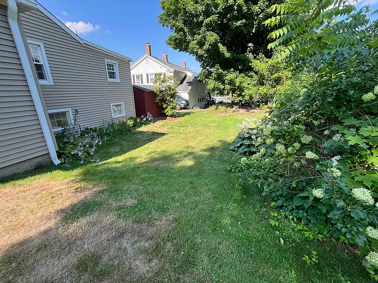Back yard
