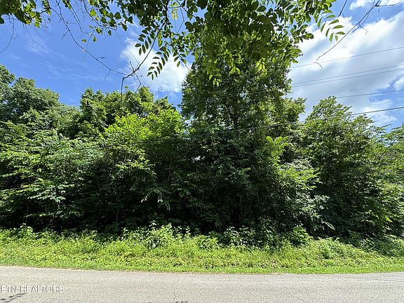 5th image of 254 Scenic Hill Ln