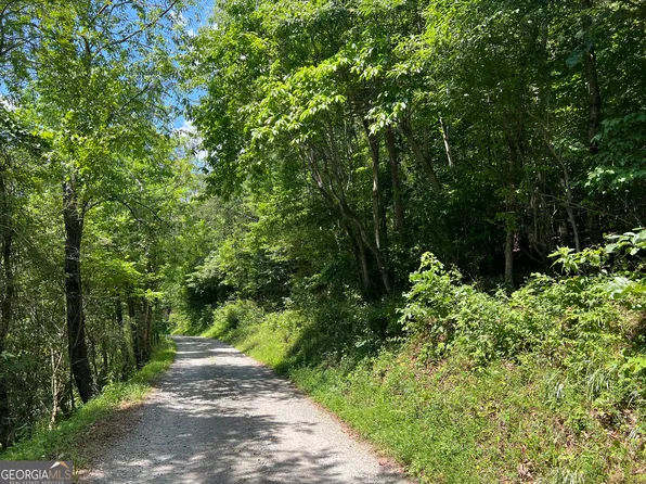 0 Watkins Rd, Blue Ridge, GA 30513