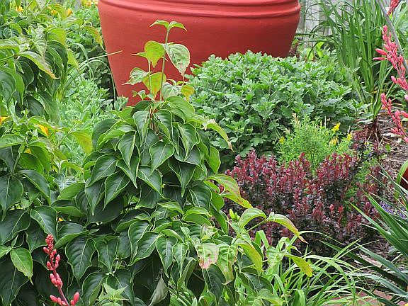 water feature in front
