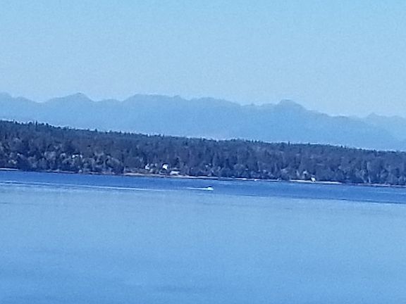 Views of Olympic Mtns