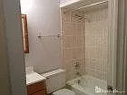 157 Gregory Street — Photo 4