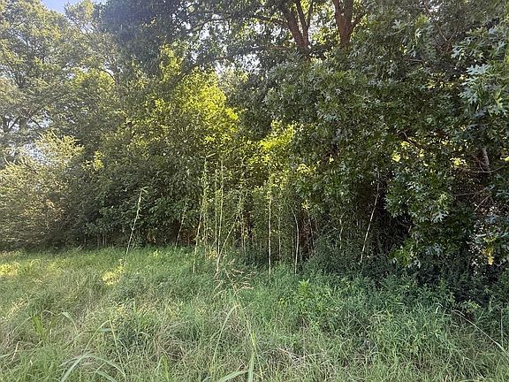 2nd image of LOT 28 River Drift
