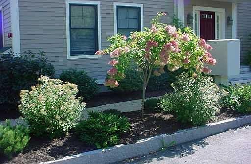 3rd image of 16 Guilford Ct Unit 1A