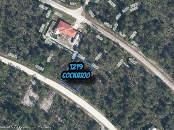 1219 Cockatoo Ave, Lake Placid, FL 33852