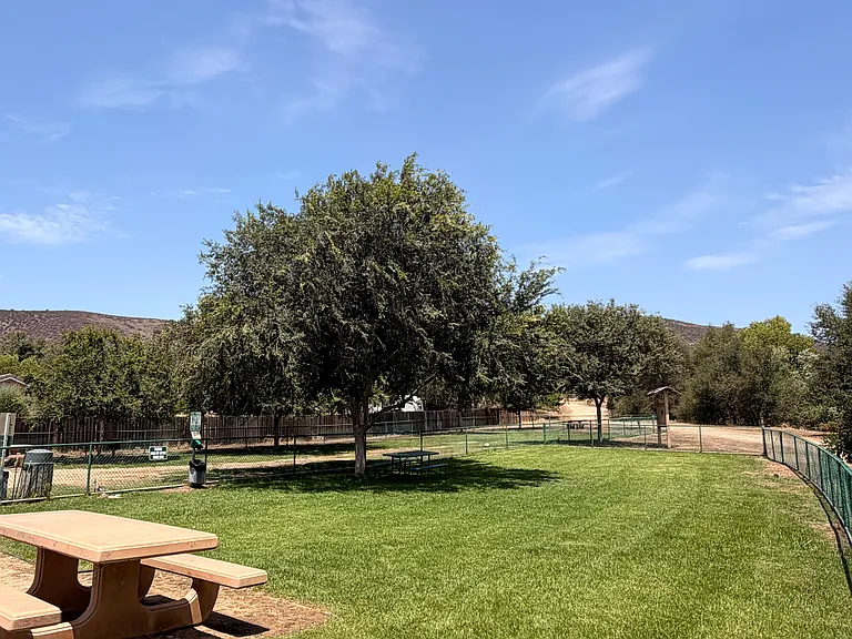 15834 Davis Cup Ln — Photo 16