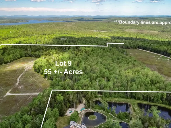 MAP13LOT9 Martins Ridge Road, Franklin, ME 04634