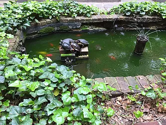 Rented by Sky Management